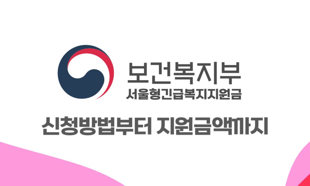 서울형긴급복지지원금 완벽 가이드 2025 - 신청방법부터 지원금액까지 4 health