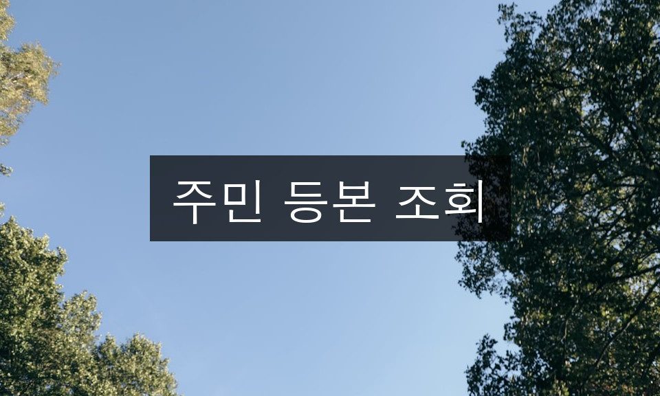 주민 등본 조회 완벽 가이드 | 5분 완성