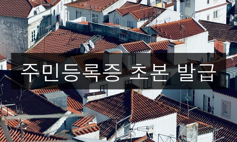 주민등록증 초본 발급 | 5분만에 끝내는 온라인 신청법