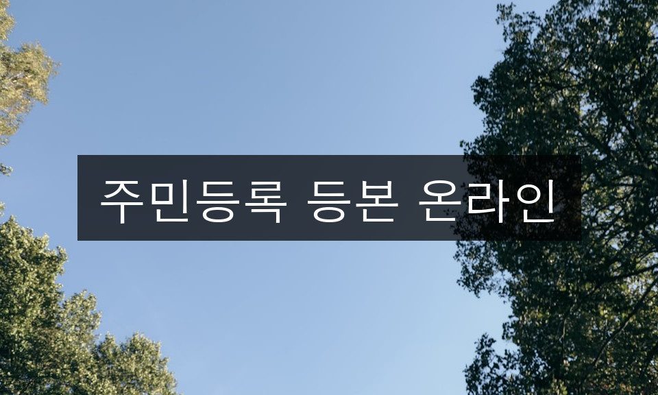 주민등록 등본 온라인 발급 완벽 가이드 | 5분 완성