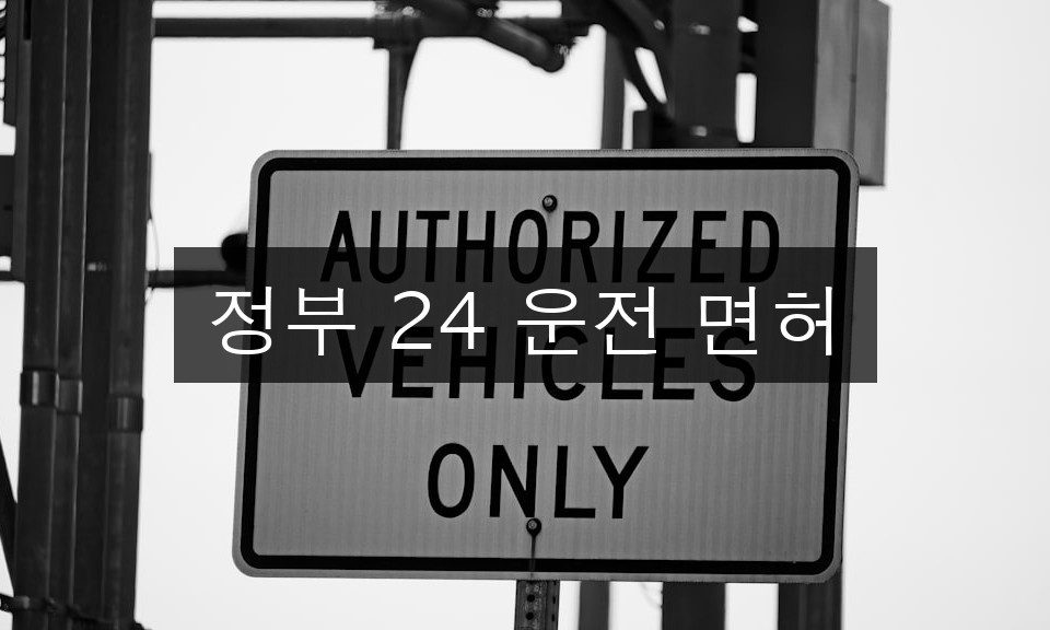 정부 24 운전면허 갱신 방법 | 5분 완성