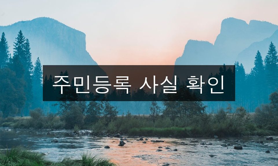 주민등록 사실 확인 완벽 가이드 | 3단계 정리