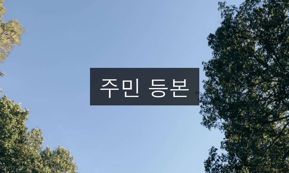 주민 등본 발급 완벽 가이드 | 5분 초간단 정리
