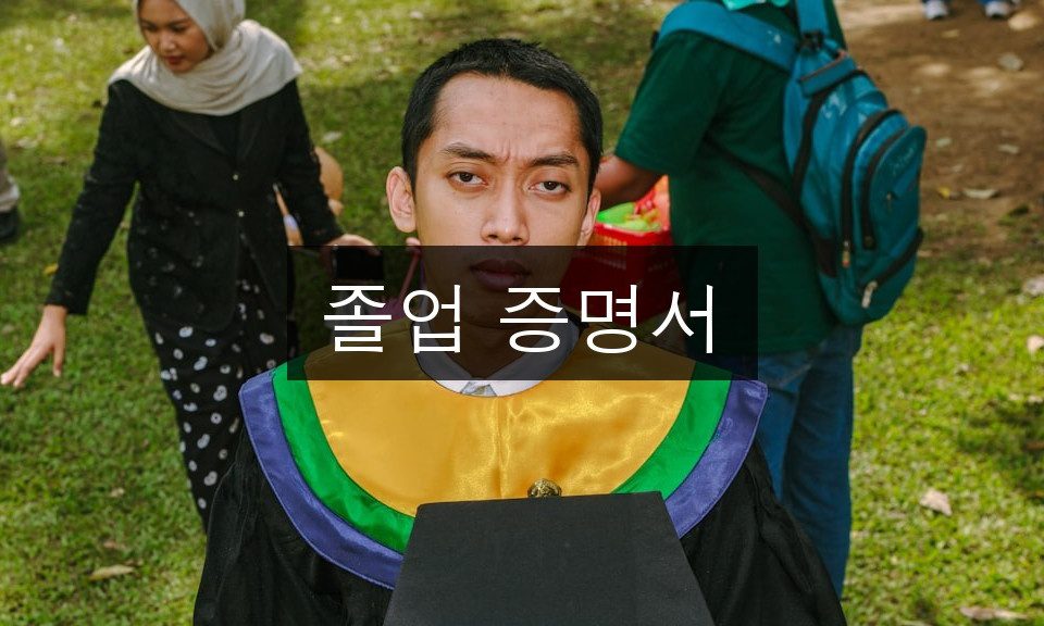 졸업 증명서 발급 완벽 가이드 | 5분 완성