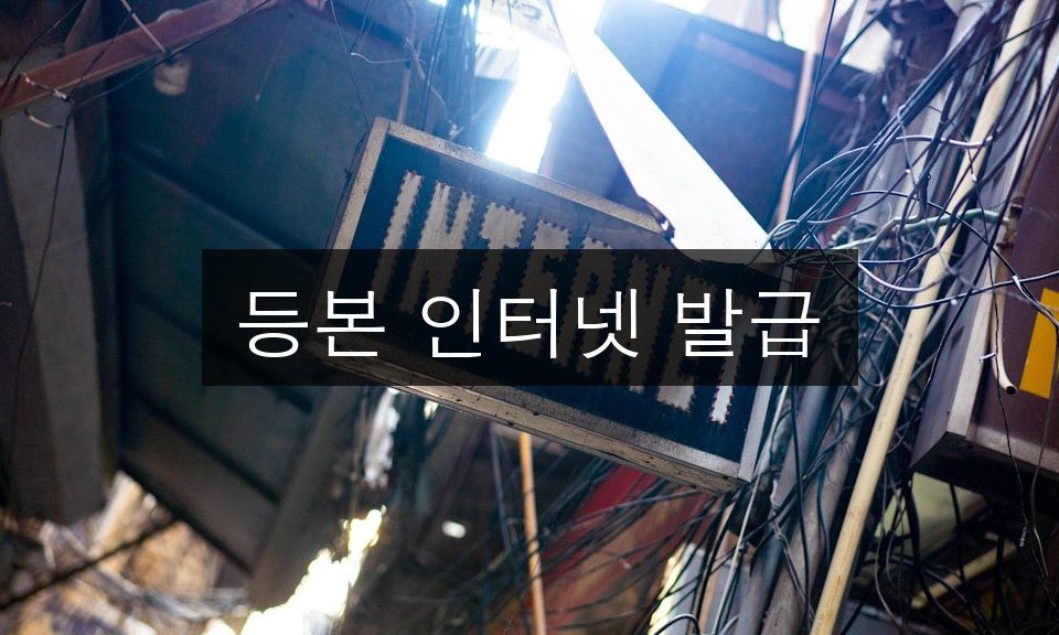 등본 인터넷 발급 완벽 가이드 | 5분 완성