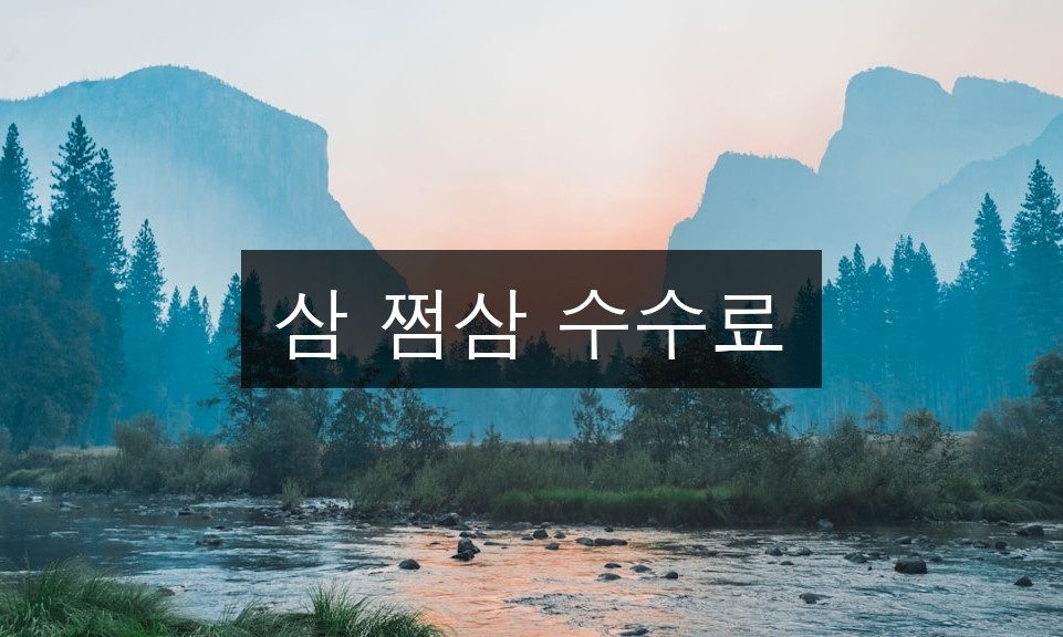 삼 쩜삼 수수료 누구나 쉽게 알 수 있는 3가지 핵심 포인트