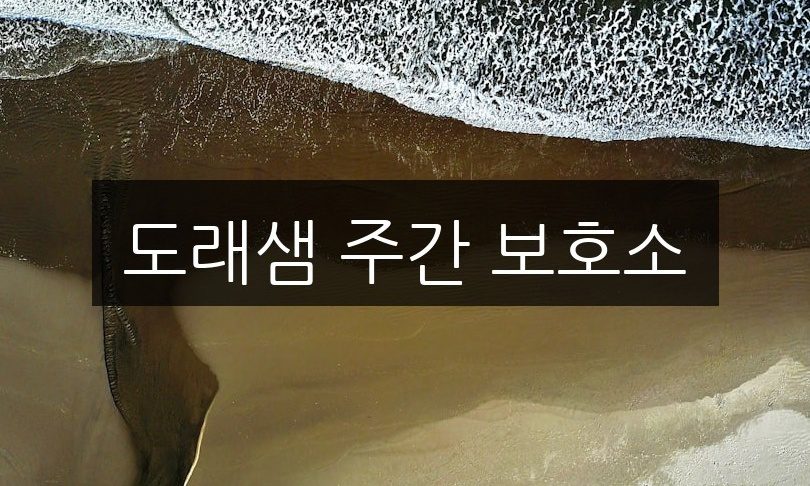 도래샘 주간 보호소, 방문 전 알아야 할 5가지