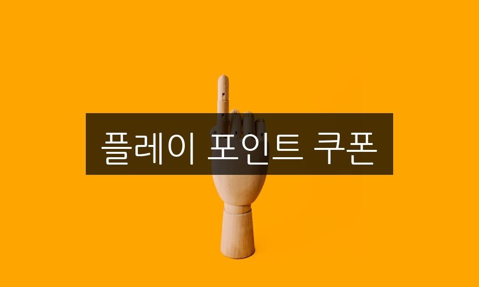 플레이 포인트 쿠폰, 5가지 활용 방법 총정리