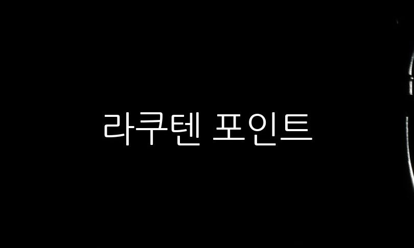 라쿠텐 포인트, 쉽게 적립하는 5가지 방법