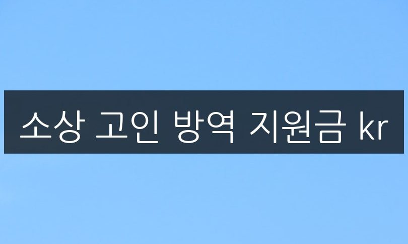 소상 고인 방역 지원금 kr, 신청 방법 및 자격 조건 정리