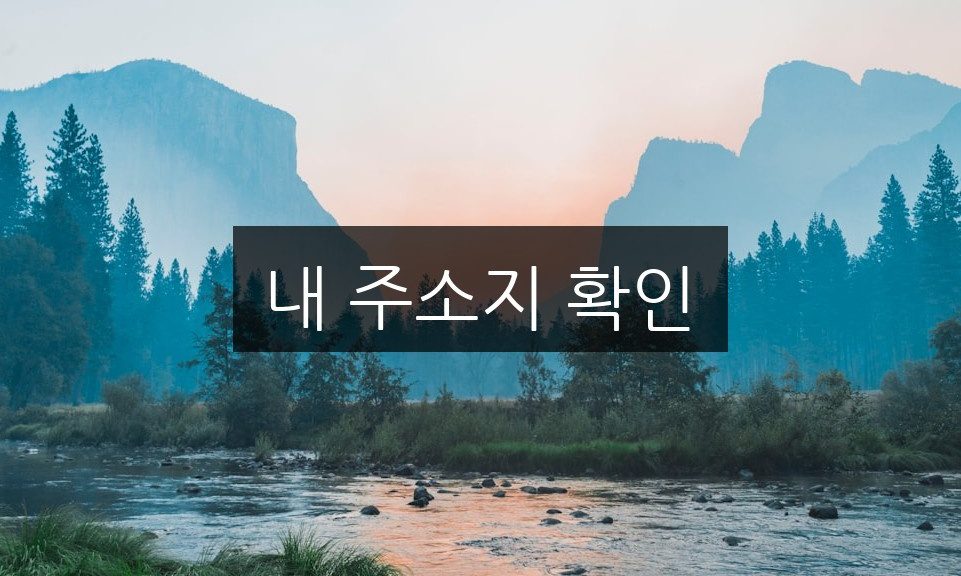 내 주소지 확인, 간편하게 하는 방법과 주의사항
