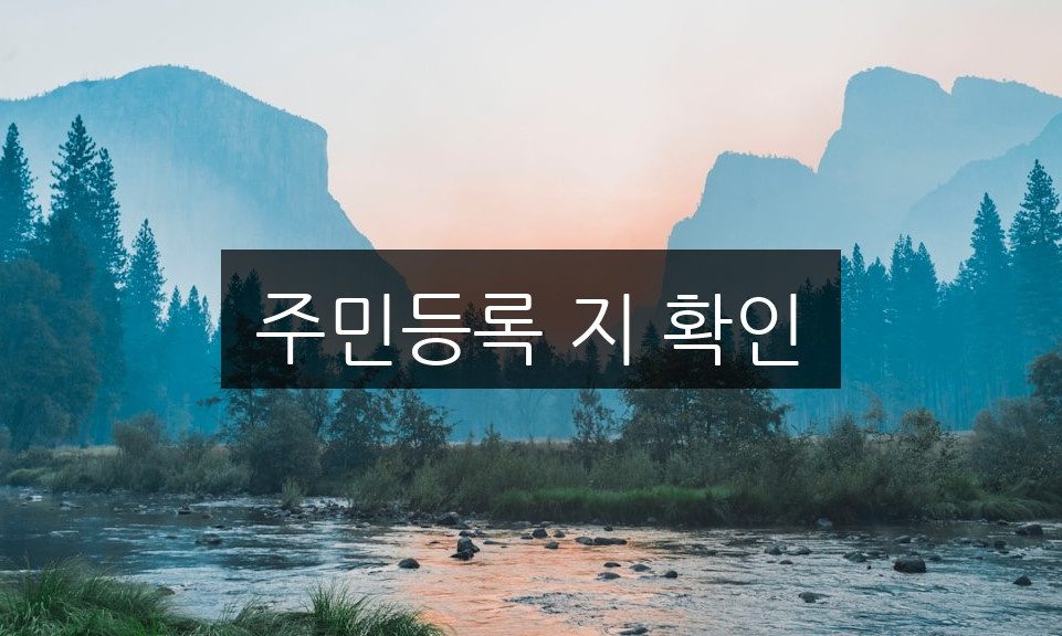 주민등록 지 확인, 5분 안에 확인하는 방법 총정리