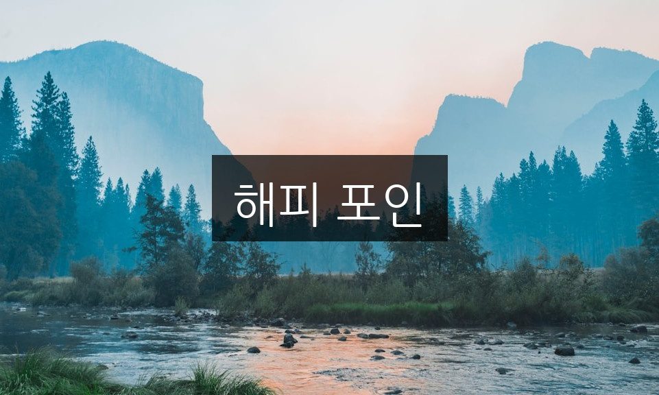 해피 포인, 즐기는 법과 추천 활동 5가지