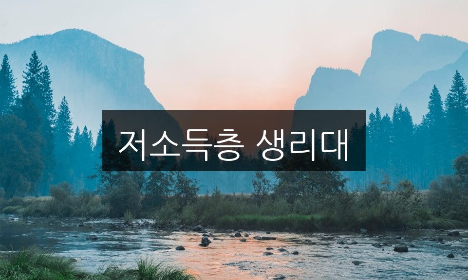 저소득층 생리대, 누구나 쉽게 접근하는 구매 가이드
