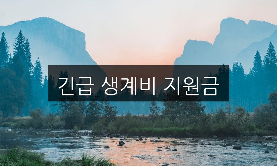 긴급 생계비 지원금, 자격 조건과 신청 방법 완벽 정리