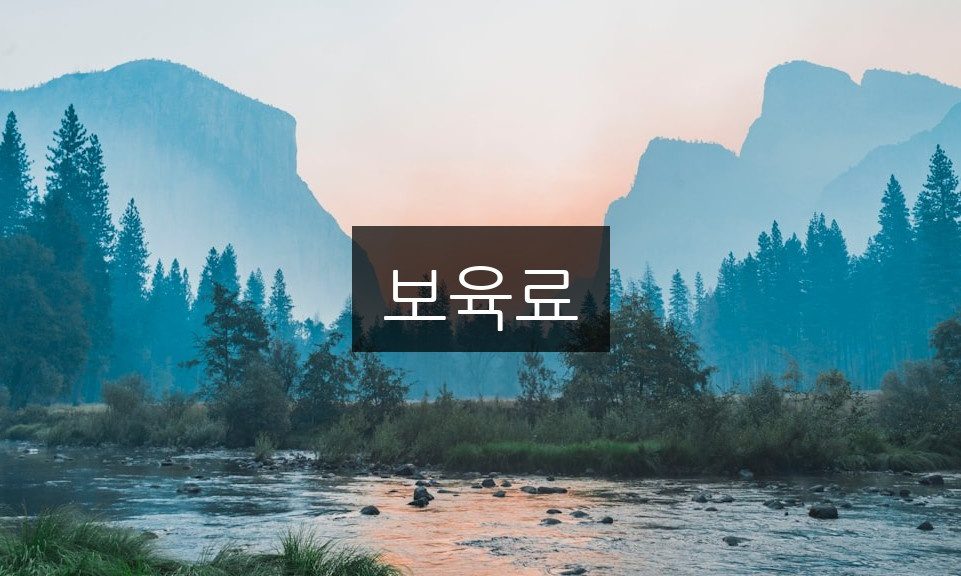 보육료 신청 방법과 자격 조건 완벽 정리