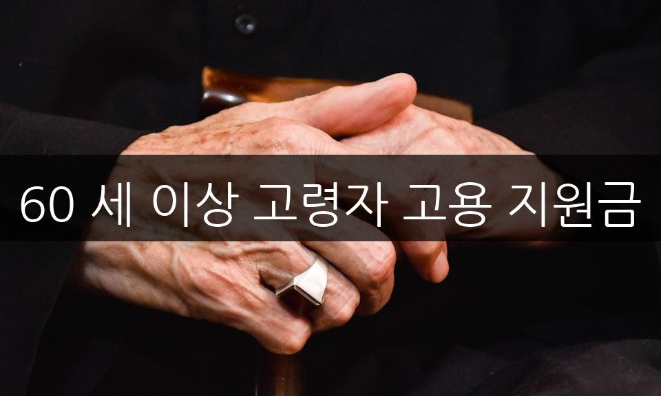 60 세 이상 고령자 고용 지원금, 신청 방법과 자격 조건 완벽 정리