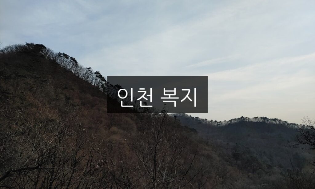 인천 복지, 혜택과 신청 방법 완벽 정리