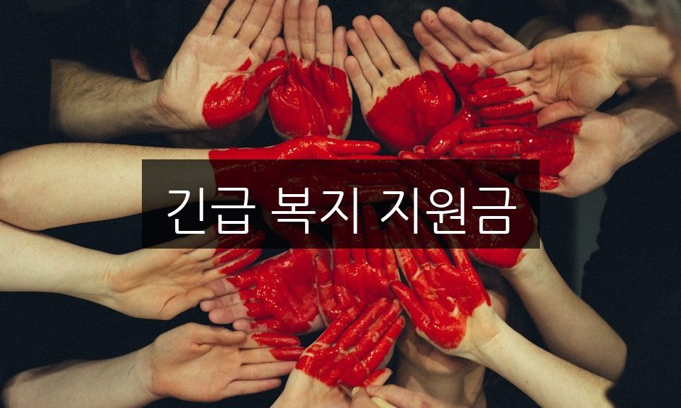 긴급 복지 지원금 신청 방법 | 자격 조건 완벽 가이드