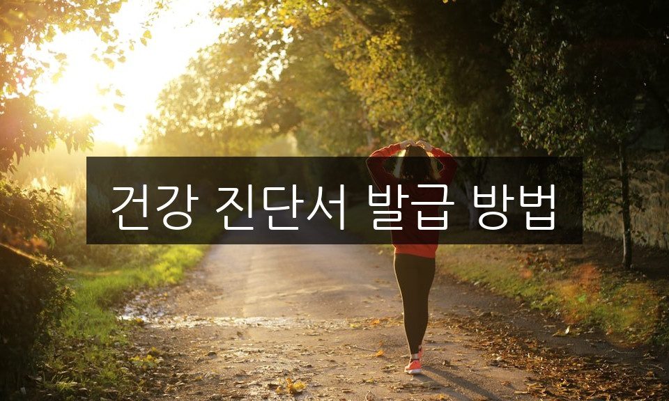 건강 진단서 발급 방법 | 필수 서류와 절차 총정리