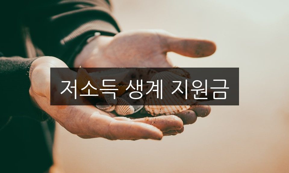 저소득 생계 지원금, 신청 방법과 자격 조건 완벽 정리
