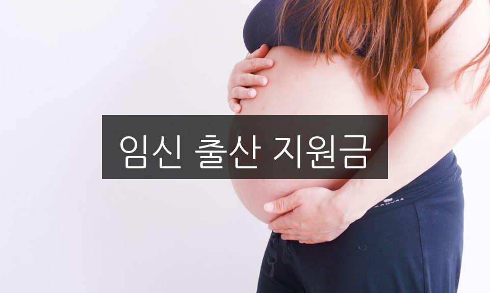 임신 출산 지원금, 신청 방법과 자격 조건 완벽 정리