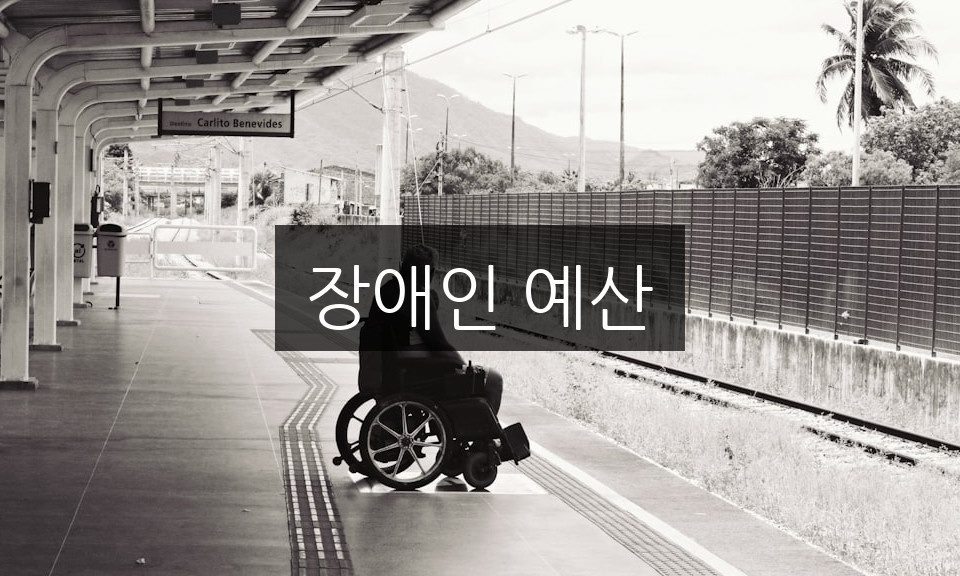 장애인 예산, 필수 혜택 및 지원 총정리