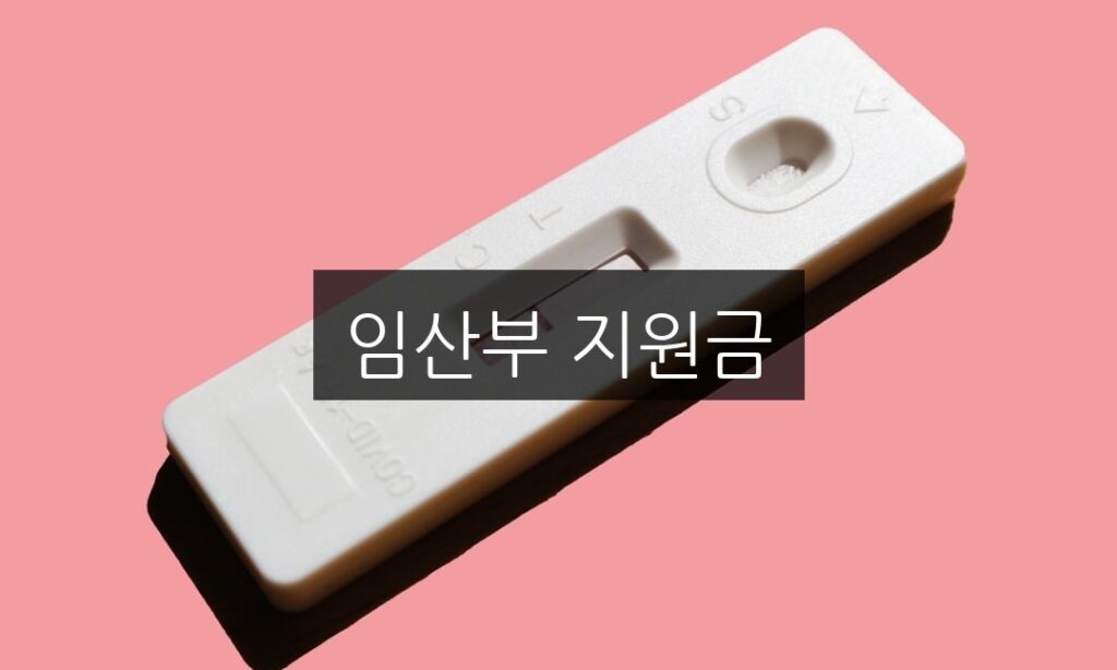 임산부 지원금, 신청 방법과 자격 조건 완벽 정리