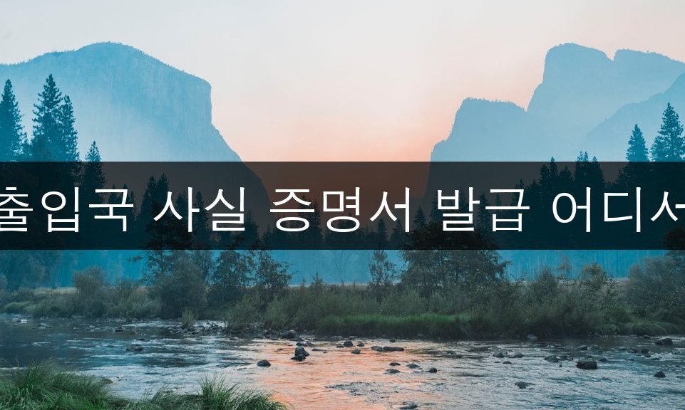 출입국 사실 증명서 발급 어디서