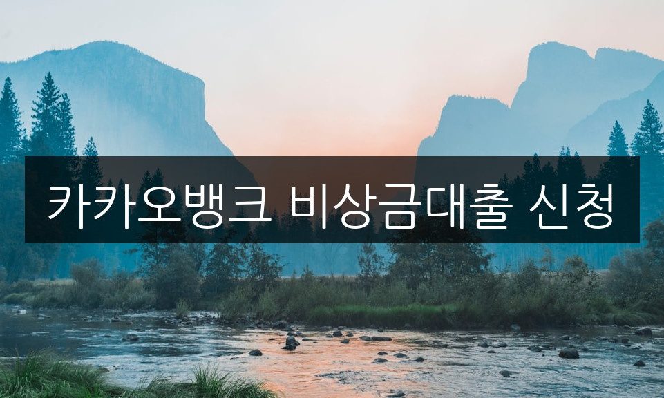 카카오뱅크 비상금대출 신청 방법, 거절 사유와 해결법까지