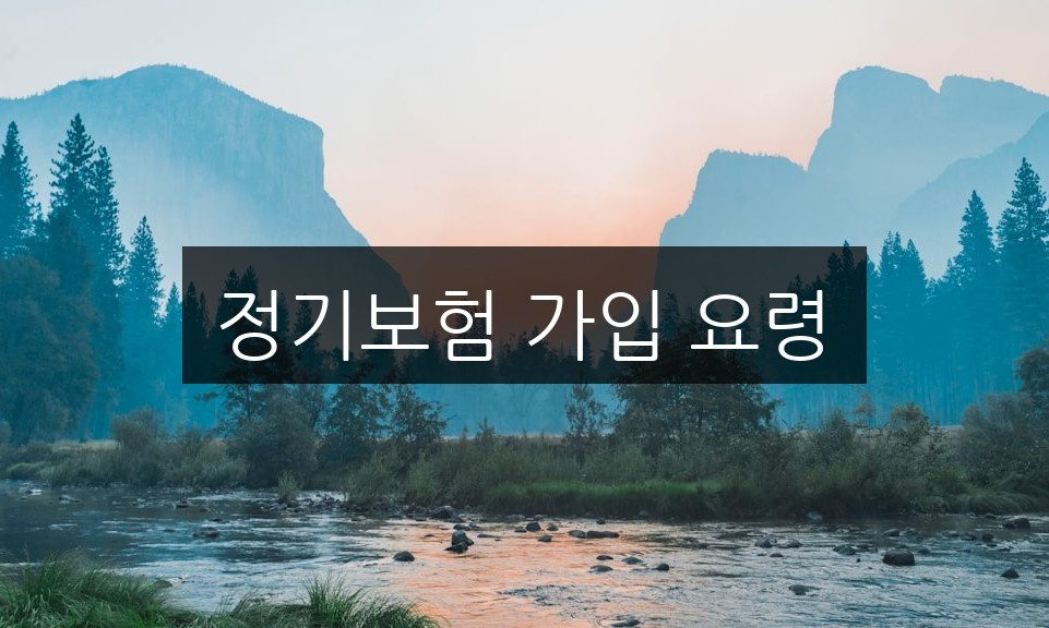 정기보험 가입 요령, 생명보험 수령인 지정부터 보장 범위까지 완벽 가이드