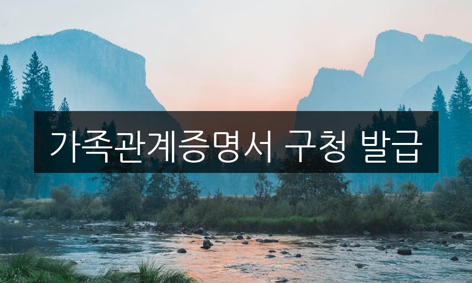 가족관계증명서 구청 발급, 무인발급기 vs 온라인 어디가 빠를까?