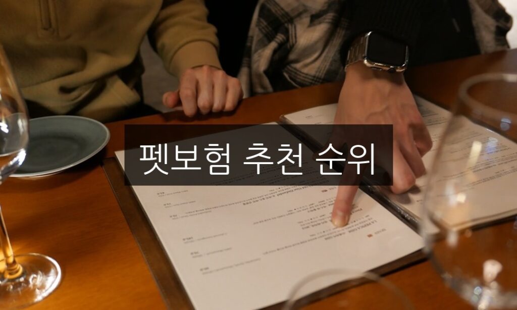 펫보험 추천 순위, 보장 한도와 조건 비교로 똑똑하게 선택하기