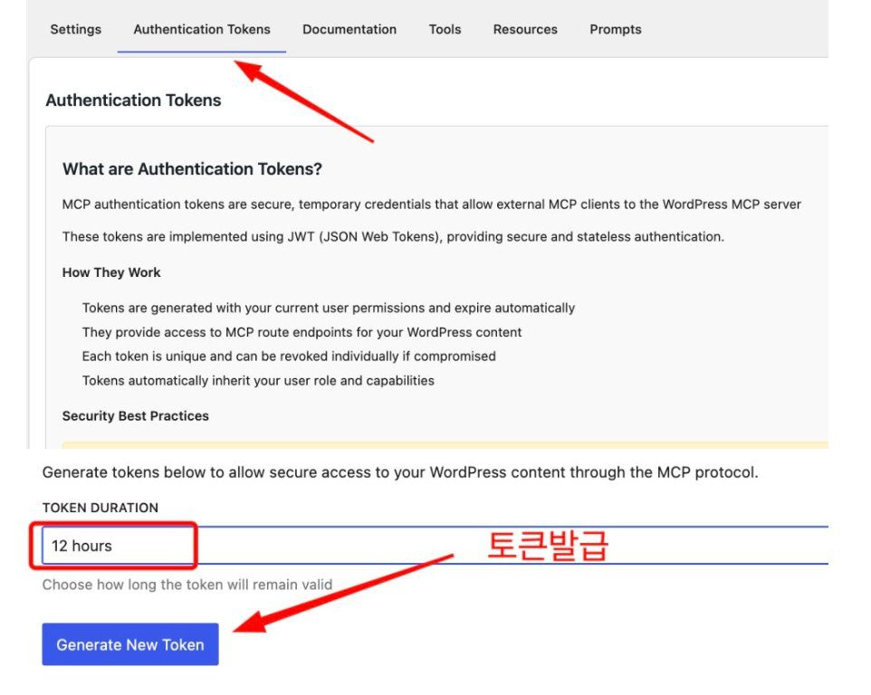 워드프레스 MCP 플러그인 Authentication Tokens 탭에서 토큰 유효기간을 고르고 발급하는 화면